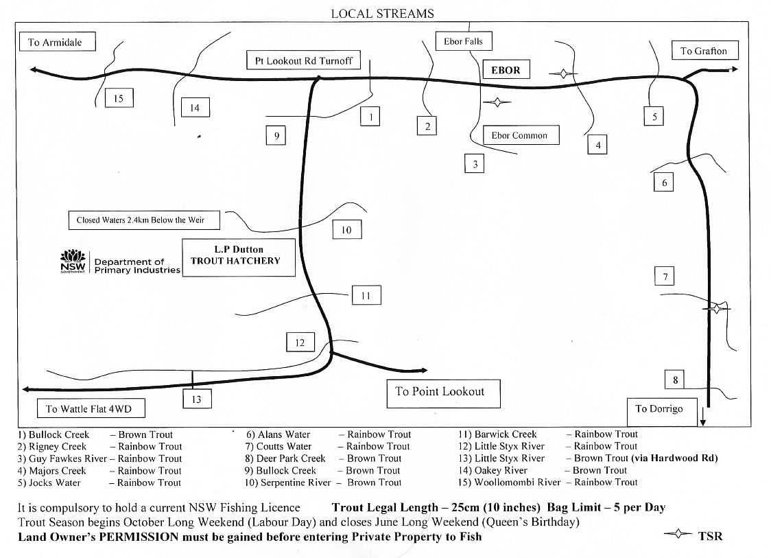 dorrigo trout fishing map